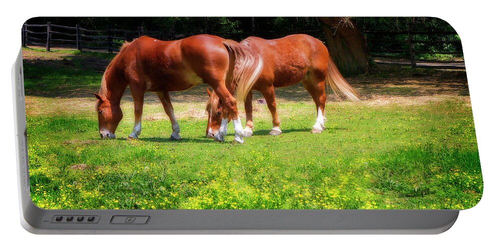Color Portable Battery Charger featuring the photograph Sorrel Roans Grazing by Alan Hausenflock