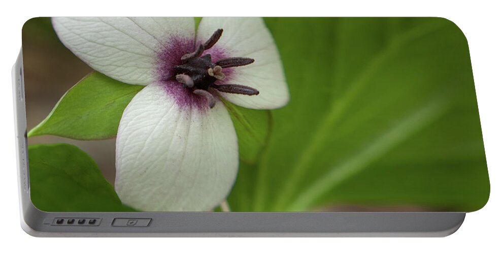 Great Smoky Mountain National Park Portable Battery Charger featuring the photograph Southern Nodding Trillium 1 by Joye Ardyn Durham