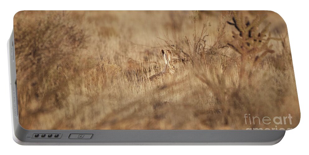 Desert Rabbit Portable Battery Charger featuring the photograph Southwest Bunny by Robert WK Clark