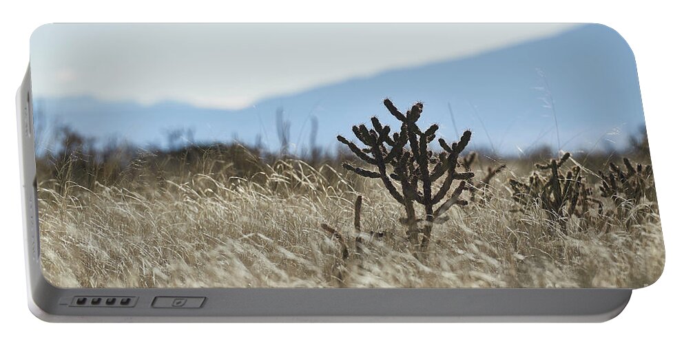 New Mexico Desert Portable Battery Charger featuring the photograph Southwest Cactus In Grass by Robert WK Clark