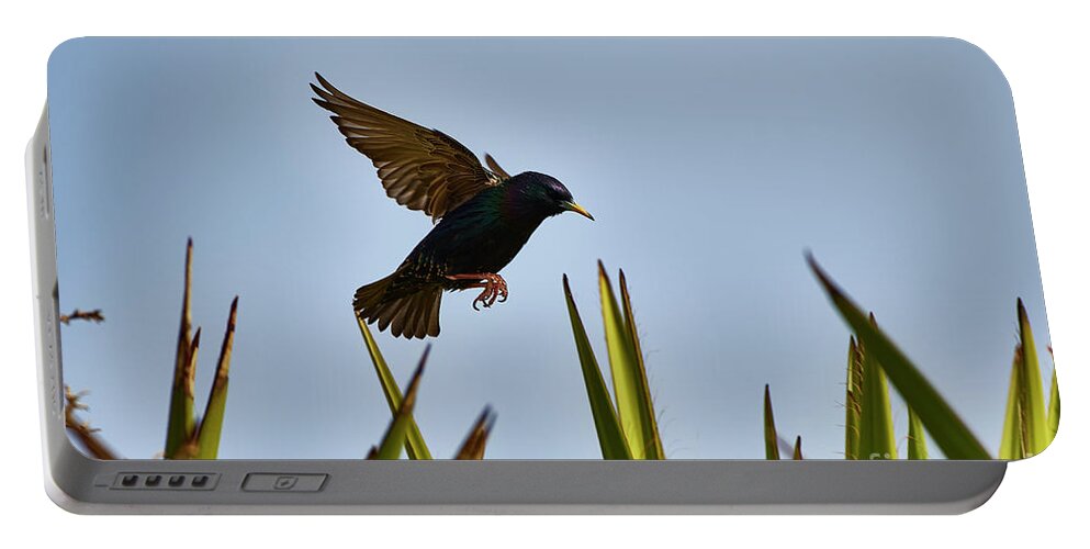 Exotic Portable Battery Charger featuring the photograph Southwest Caught In The Moment by Robert WK Clark
