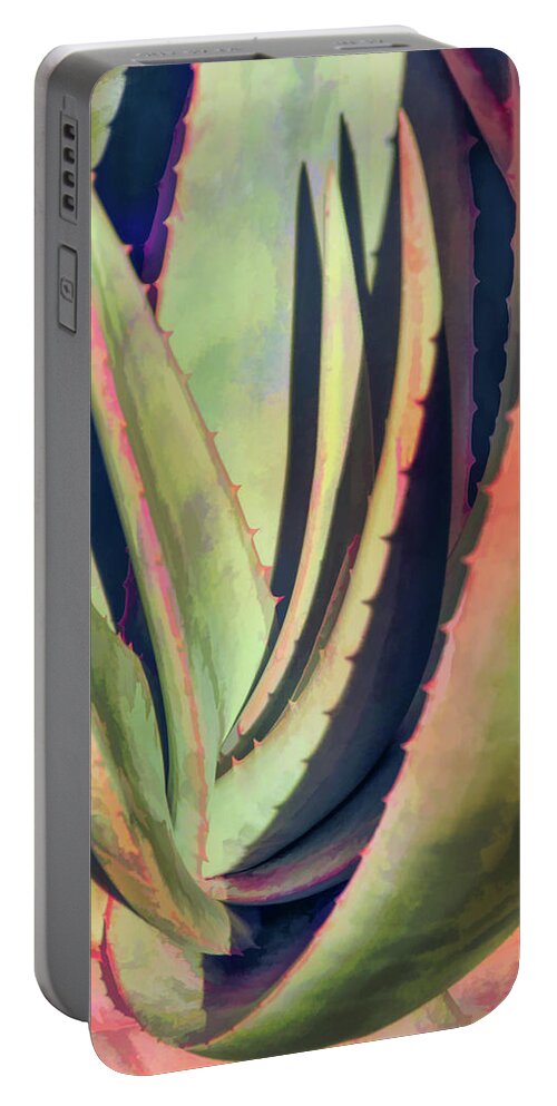 Aloe Portable Battery Charger featuring the photograph Southwest Colorful by Leda Robertson