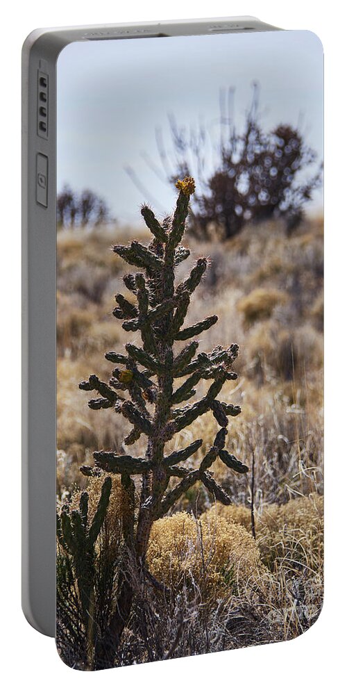 New Mexico Desert Portable Battery Charger featuring the photograph Southwest Desert Scene by Robert WK Clark