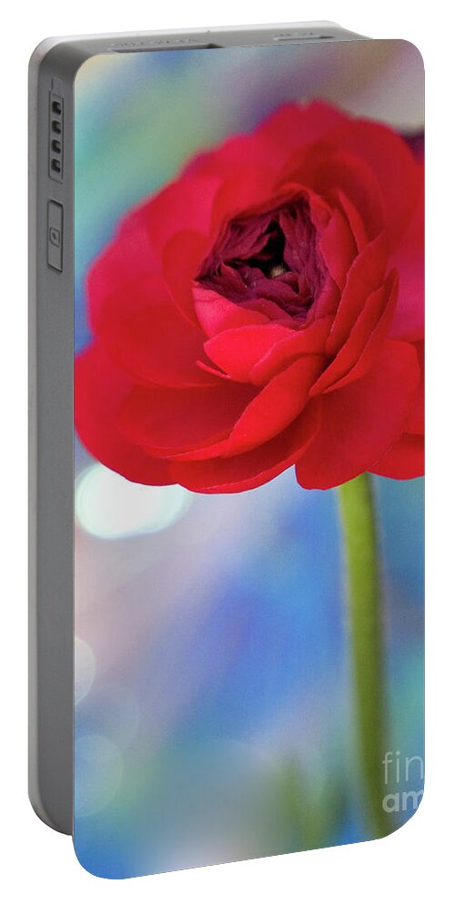 Color Portable Battery Charger featuring the photograph Sparkle Plenty Ranunculus by Dorothy Lee