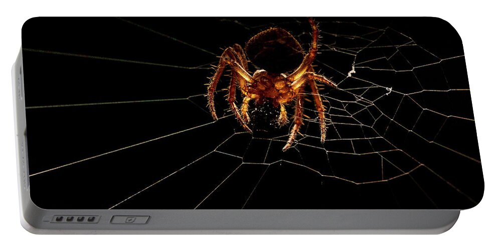 Animal Portable Battery Charger featuring the photograph Macro Photography - Spider on Web by Amelia Pearn