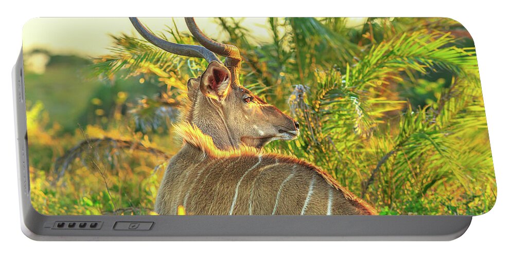 Kudu Portable Battery Charger featuring the photograph Spiral Horned Antelope by Benny Marty