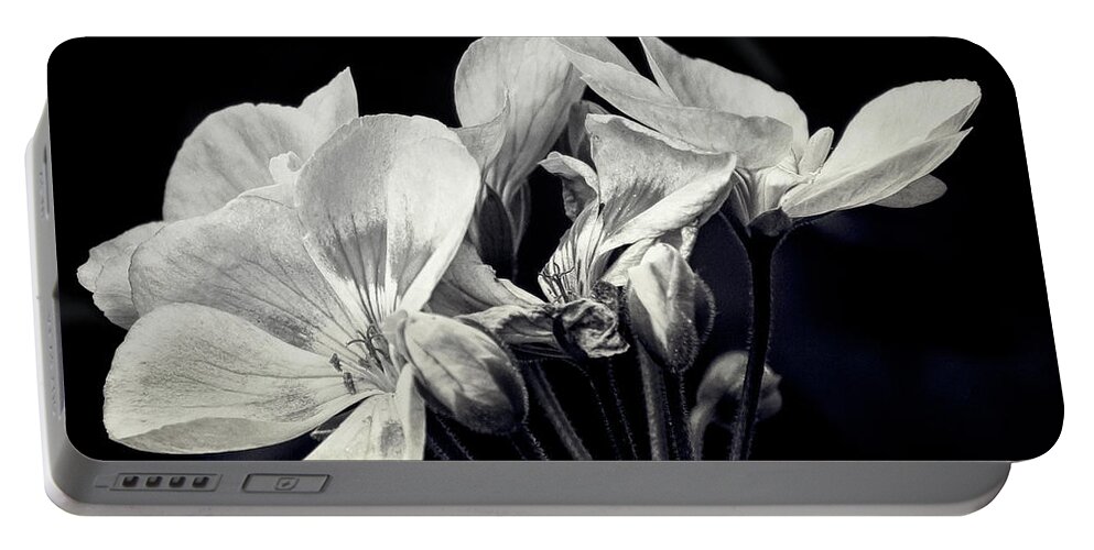 Nature Portable Battery Charger featuring the photograph Spotlight Series Five by Darlene Kwiatkowski