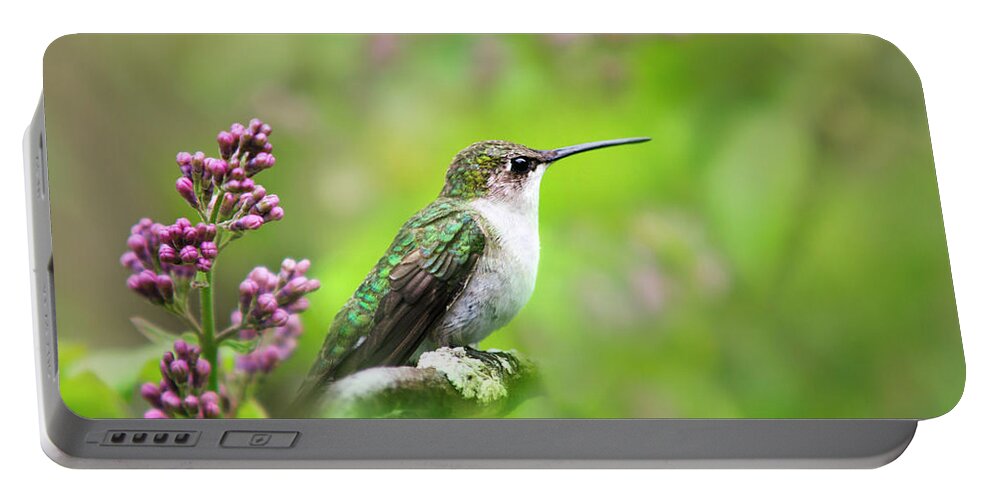 Hummingbird Portable Battery Charger featuring the photograph Spring Beauty Ruby Throat Hummingbird by Christina Rollo