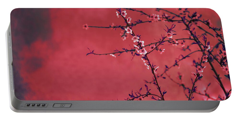 Blossom Portable Battery Charger featuring the photograph Spring blossom border over red arty textured background. Chinese by Jelena Jovanovic