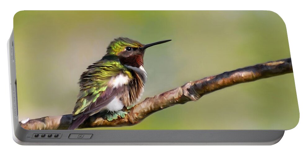 Bird Portable Battery Charger featuring the mixed media Spring Green Hummingbird by Christina Rollo