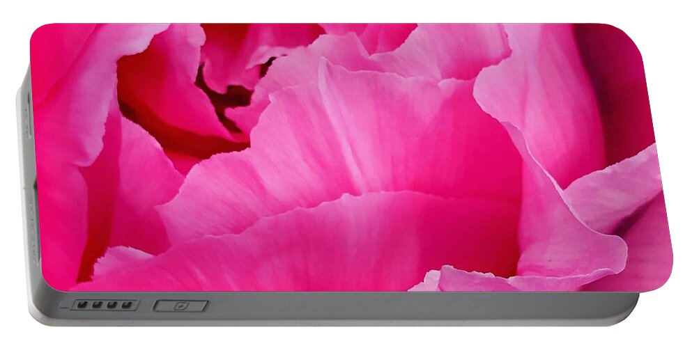 Rose Portable Battery Charger featuring the photograph Spring Rose by Suzanne Lorenz