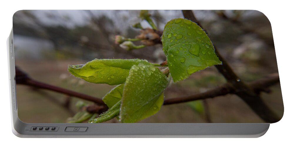 Tree Portable Battery Charger featuring the photograph Spring Takes Flight by Ivars Vilums