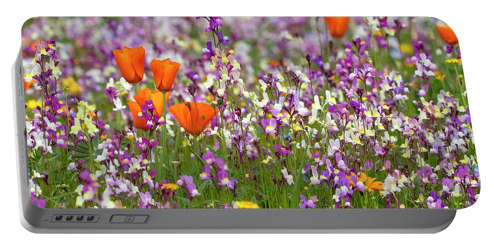 Poppies Portable Battery Charger featuring the photograph Spring to Life by Vanessa Thomas