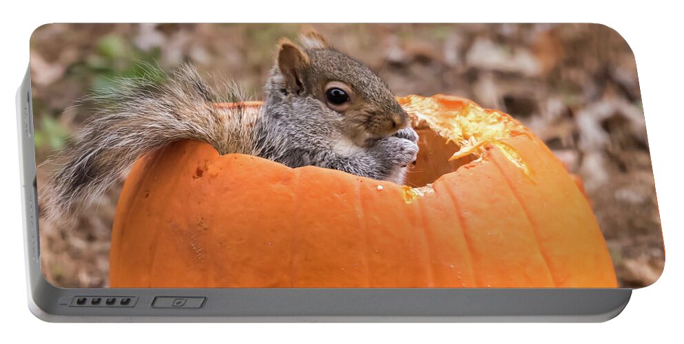 Terry D Photography Portable Battery Charger featuring the photograph Squirrel In Pumpkin Square by Terry DeLuco