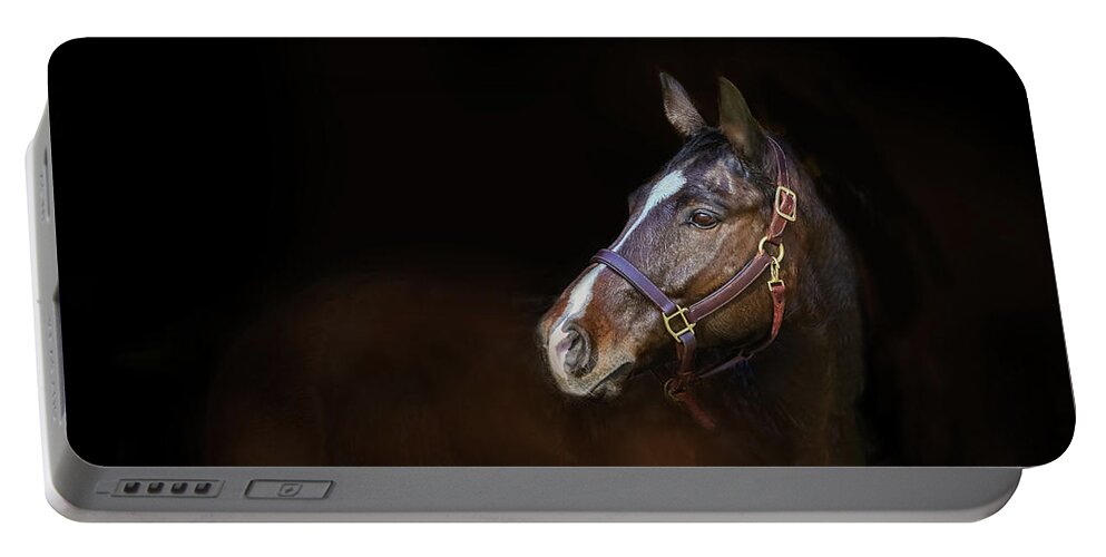 Horse Portable Battery Charger featuring the photograph Stallion by JBK Photo Art