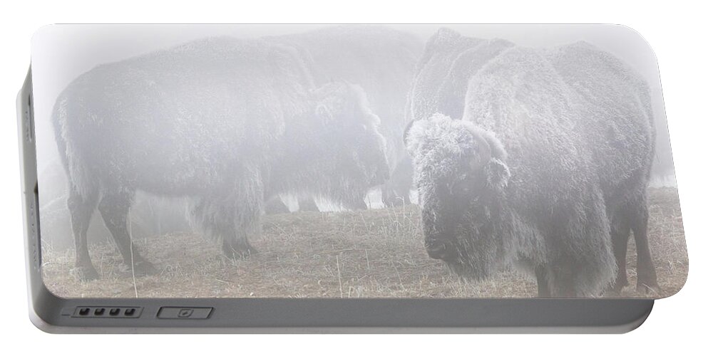 Standing Portable Battery Charger featuring the photograph Standing In The Frozen Fog by Brian Gustafson