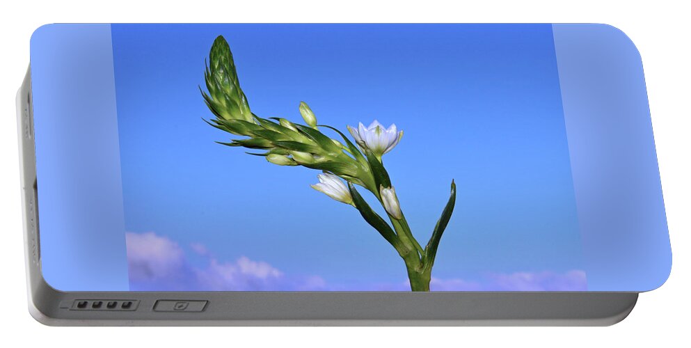  Star Of Bethlehem Portable Battery Charger featuring the photograph Star Of Bethlehem. by Terence Davis