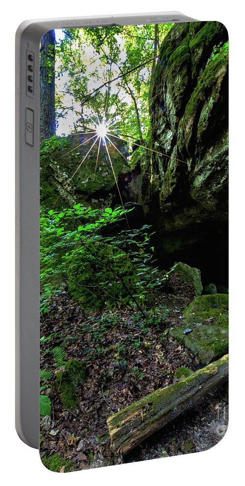 Trees Portable Battery Charger featuring the photograph Starburst in the Woods by Terri Morris