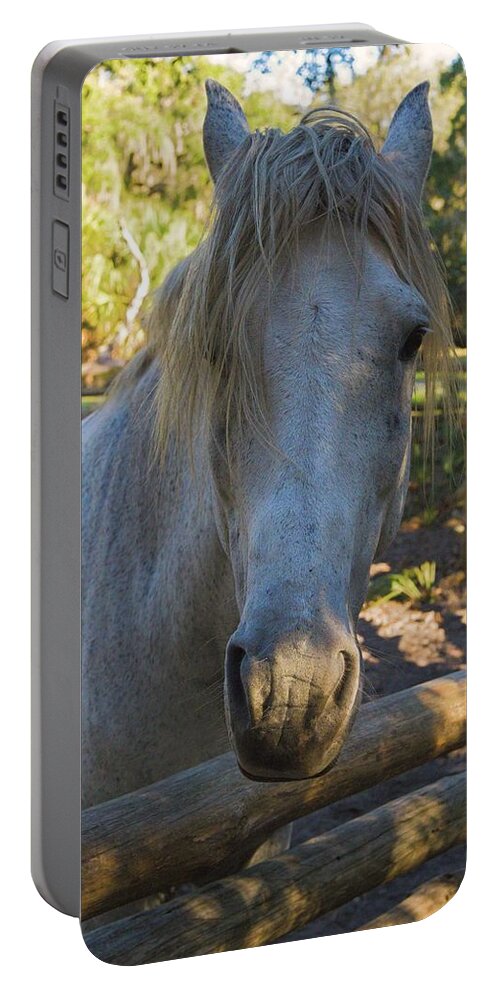 Horse Portable Battery Charger featuring the photograph Still Waiting for a Cowboy by T Lynn Dodsworth