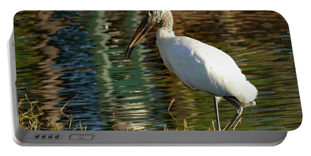 Stork Portable Battery Charger featuring the photograph Stork on Rippled Waters by Margaret Zabor