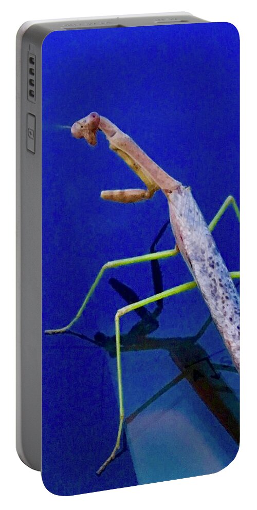 Praying Mantis Portable Battery Charger featuring the photograph Strange Encounter by Debra Grace Addison