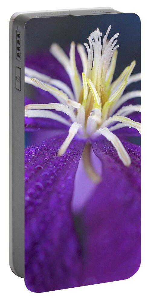 Flower Portable Battery Charger featuring the photograph Stretch by Michelle Wermuth