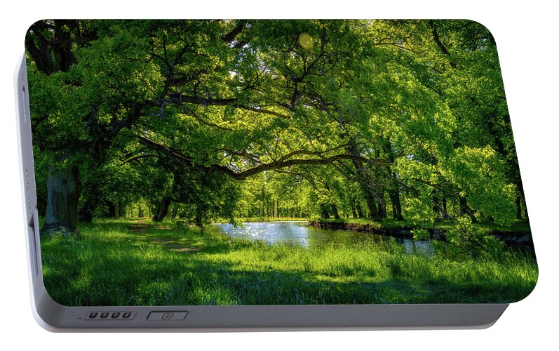 Panorama Portable Battery Charger featuring the photograph Summer Morning in the Park by Nicklas Gustafsson