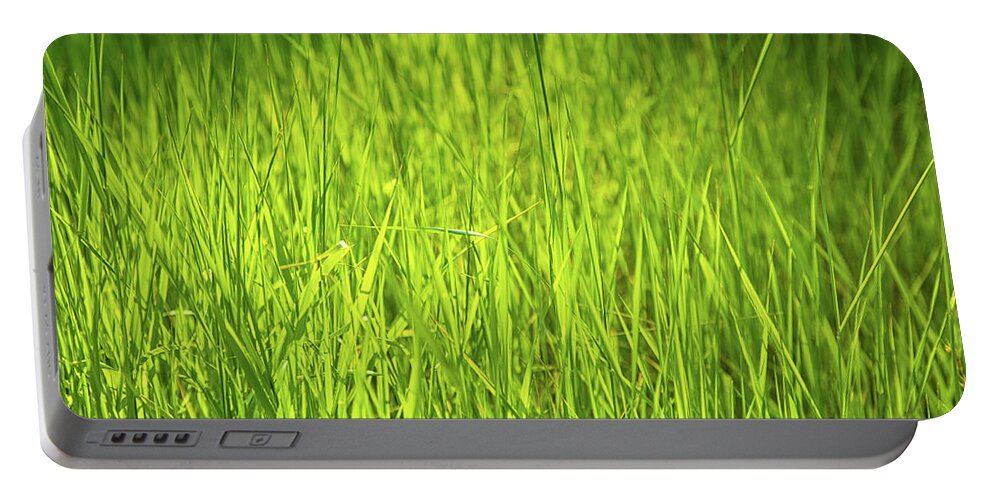Summer Grass Portable Battery Charger featuring the photograph Summer poem by Kunal Mehra