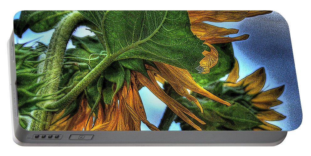  Portable Battery Charger featuring the photograph Sunflower by Lee Santa
