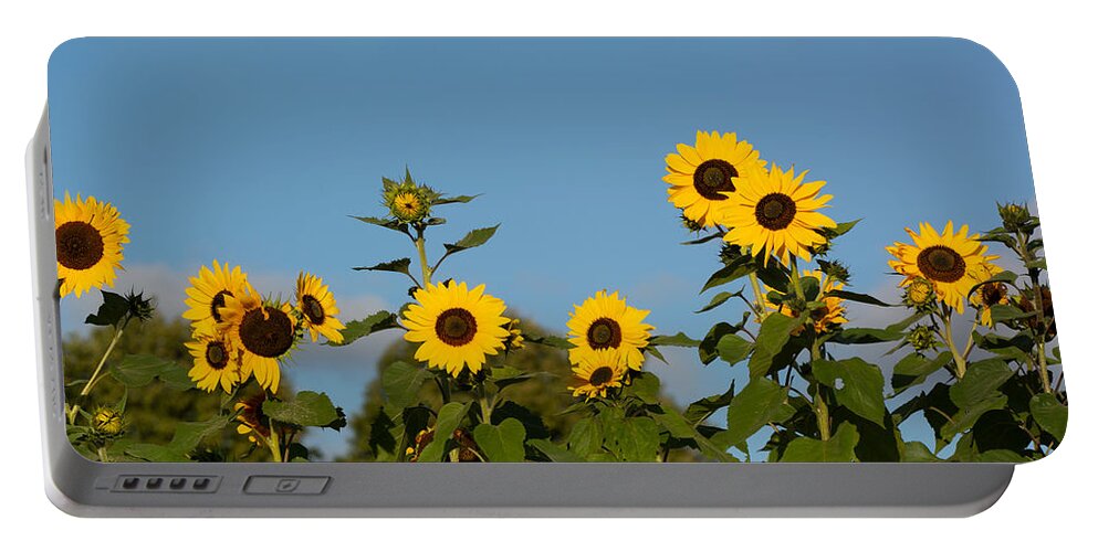Nature Portable Battery Charger featuring the photograph Sunflower Lineup by Douglas Wielfaert