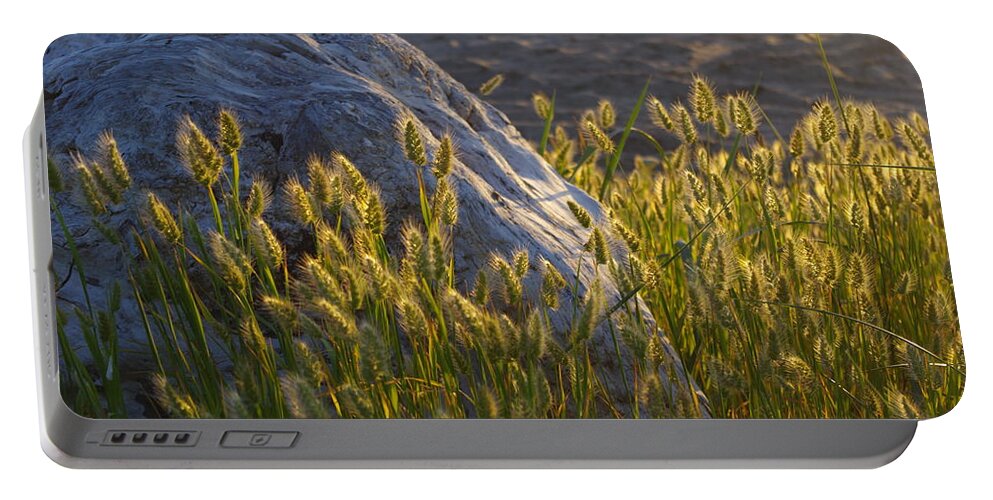 Adria Trail Portable Battery Charger featuring the photograph Sunlit Foxtails by Adria Trail