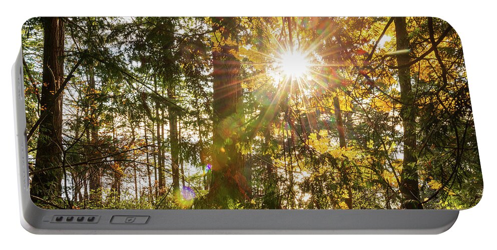 Fall; Autumn; Color; Trees; Forest; Sun; Ray Of Sunshine; Trail; Chuckanut Drive; Washington; Pnw; Pacific North West Portable Battery Charger featuring the digital art Sunshine at Whatcom County by Michael Lee