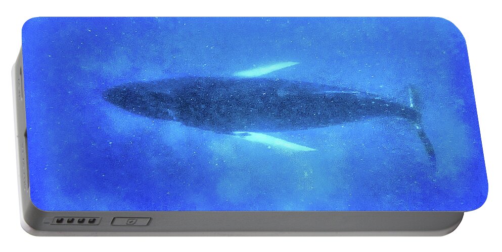 Sleeping Whale Portable Battery Charger featuring the photograph Suspension by Louise Lindsay