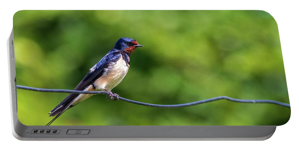 Animal Portable Battery Charger featuring the photograph Swallow Hirundo rustica by Chris Smith
