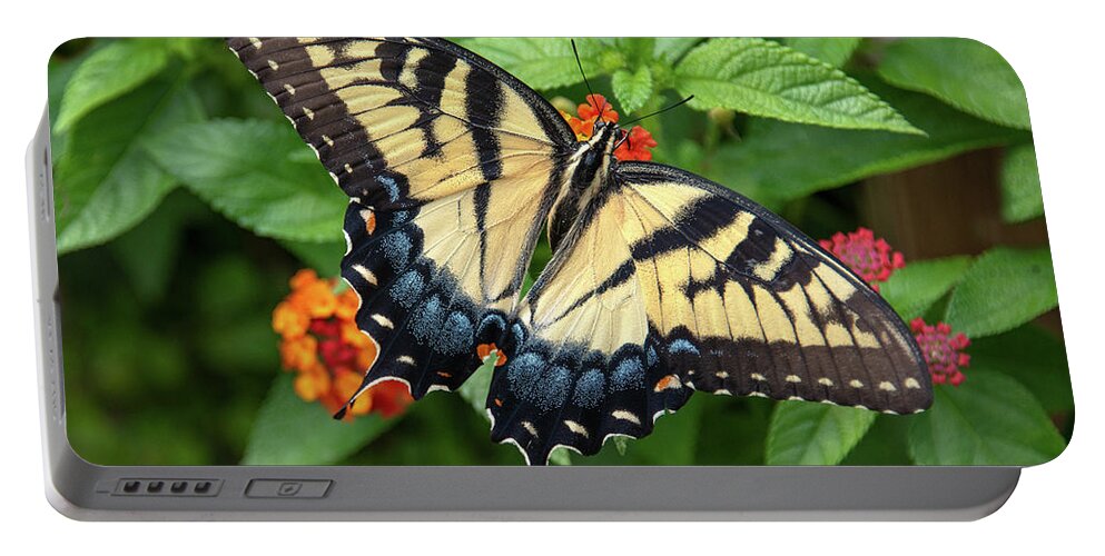 Butterfly Portable Battery Charger featuring the photograph Swallowtail #3 by Minnie Gallman
