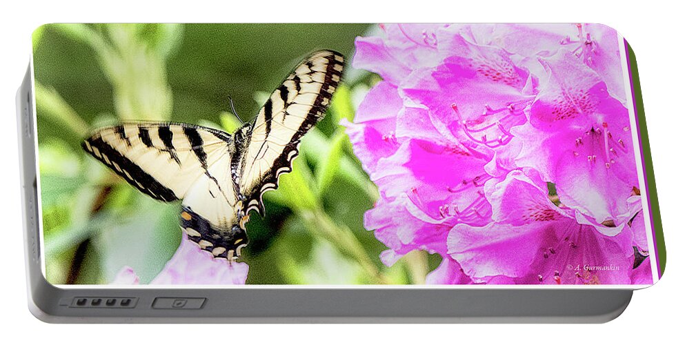 Swallowtail Butterfly Portable Battery Charger featuring the photograph Swallowtail Butterfly, Rhododendran Flowers by A Macarthur Gurmankin