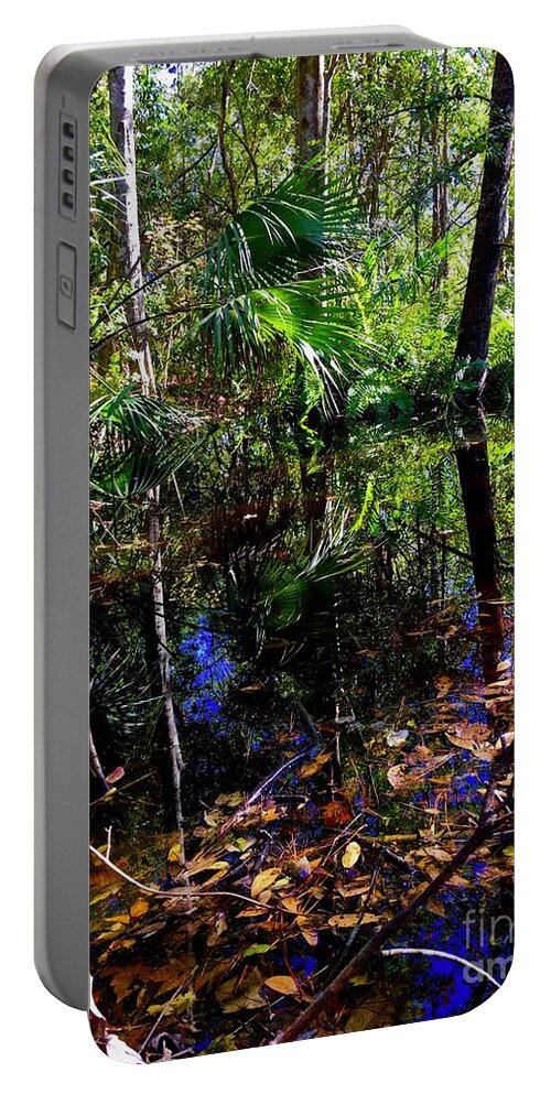 Leaves Portable Battery Charger featuring the photograph Swamp Twp by Alan Metzger
