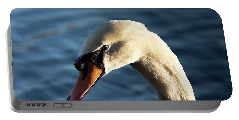 Animal Portable Battery Charger featuring the photograph Swan in the afternoon by Scott Lyons