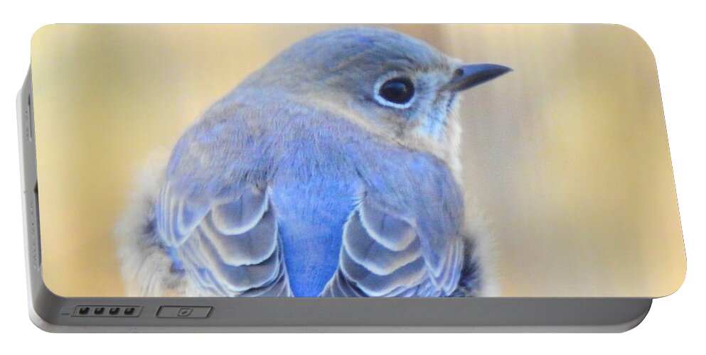 Single Portable Battery Charger featuring the photograph Sweet Bluebird Visits by Eunice Miller