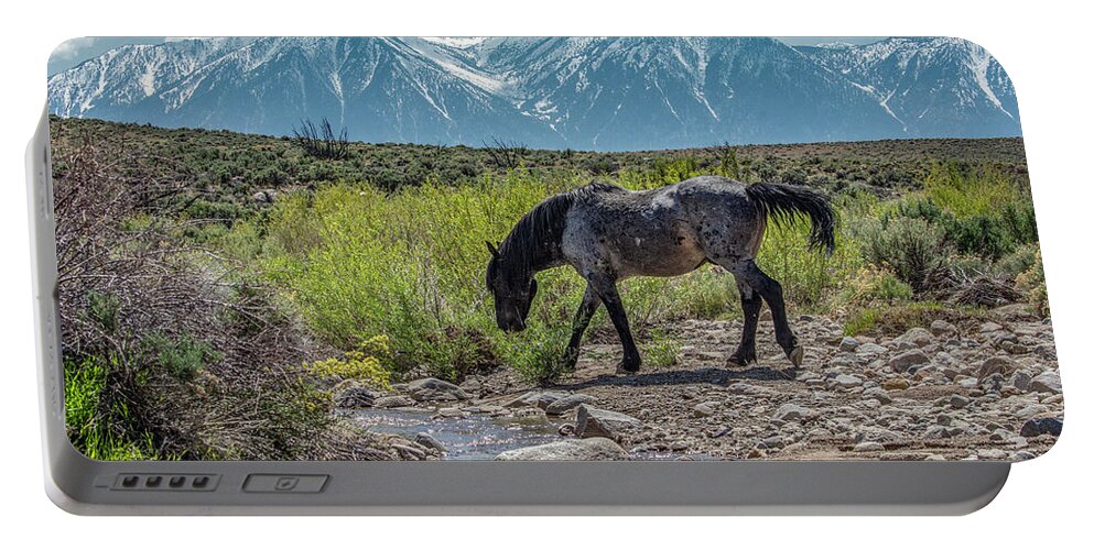  Portable Battery Charger featuring the photograph _t__0634 by John T Humphrey