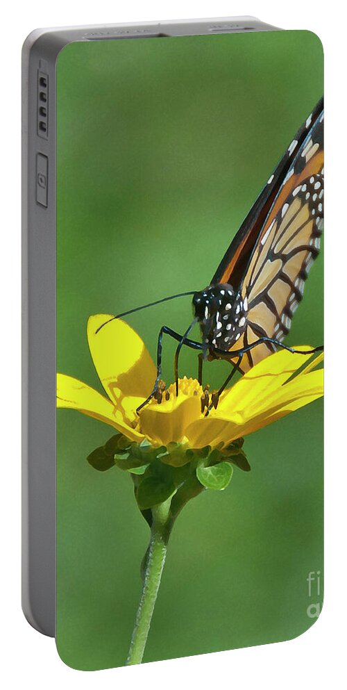 Butterfly Portable Battery Charger featuring the photograph Taking A Break by Billy Knight