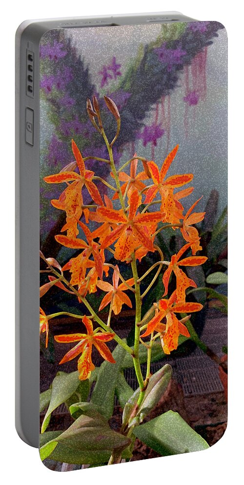Tapestry Portable Battery Charger featuring the digital art Tapestry II by Don Wright