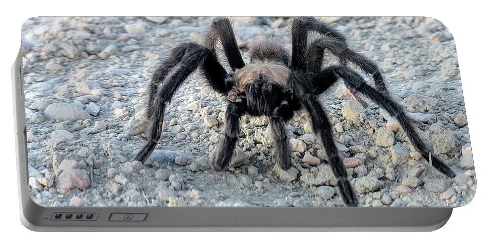 Nature Portable Battery Charger featuring the photograph Tarantula by Misty Morehead
