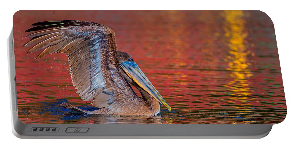 Louisiana Portable Battery Charger featuring the photograph Tchefuncte Pelican by Tom Gresham