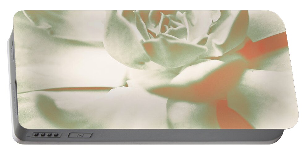 Terracotta Portable Battery Charger featuring the photograph Terracotta Succulent by Susan Bryant