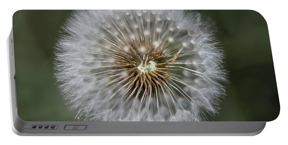 Dandelion Portable Battery Charger featuring the photograph That's Just Dandy 6 by Dusty Wynne