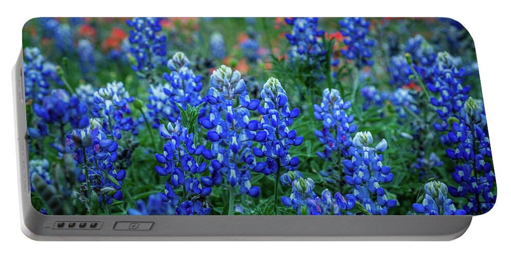 Texas Bluebonnets Portable Battery Charger featuring the photograph The Blues by Johnny Boyd