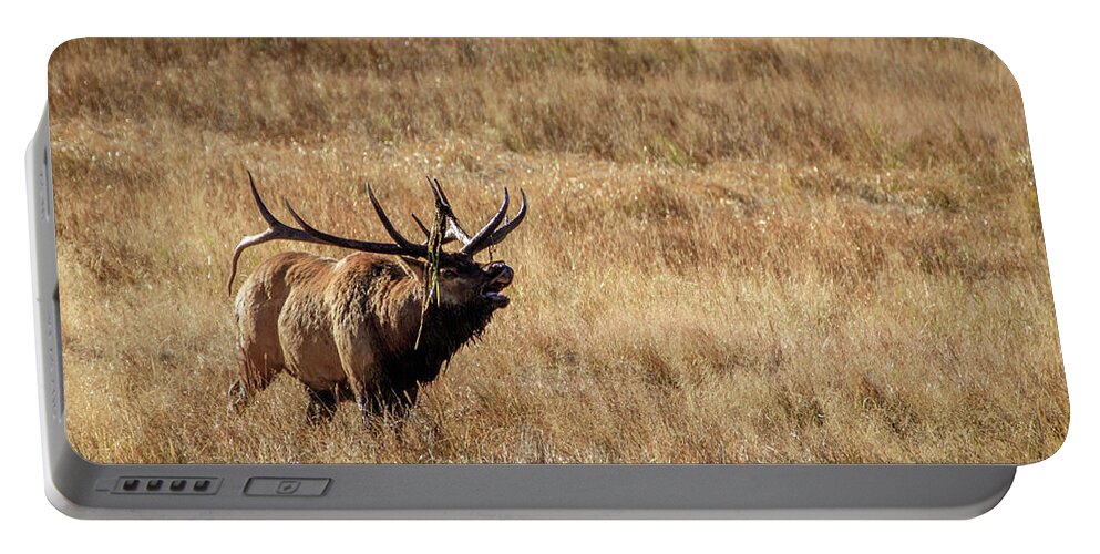 Aspens Portable Battery Charger featuring the photograph The Bugler by Johnny Boyd