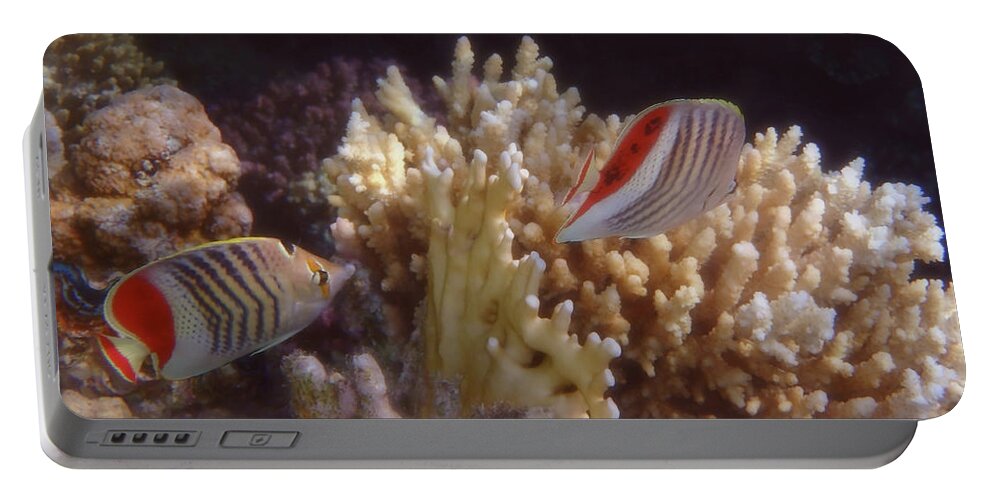 Underwater Portable Battery Charger featuring the photograph The Crown Butterflyfish Of The Red Sea by Johanna Hurmerinta