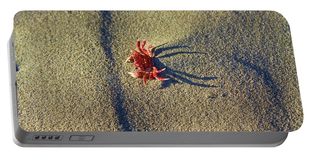 Crab Portable Battery Charger featuring the photograph The end by Fred Bailey